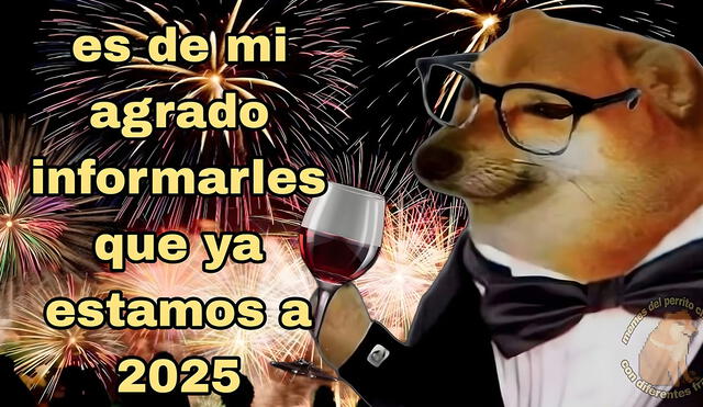 ¡Bienvenido 2025! Usuarios compartieron divertidas imágenes en redes. Foto: composición LR/ TikTok