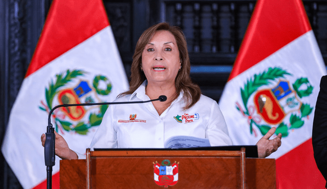 Dina Boluarte no se ha pronunciado al respecto de la promulgación de la autógrafa aprobada por el Congreso. Foto: Presidencia Dina Boluarte no se ha pronunciado al respecto de la promulgación de la autógrafa aprobada por el Congreso. Foto: Presidencia