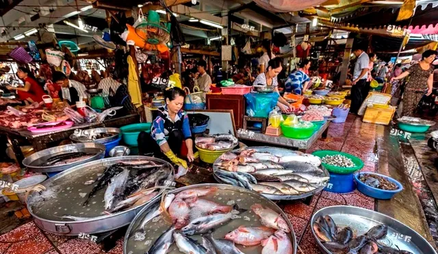 Estudio internacional revela origen del coronavirus en mercado de pescado de Huanan, China. Foto: Diario farma