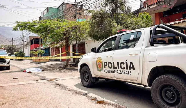 En el jirón Kotosh, de San Juan de Lurigancho, se registró el asesinato de un can. Foto: Grecia Infante/La República