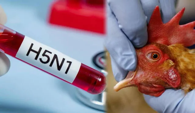 H5N1 registra su primer fallecido en Louisiana. Foto: composición LR/ Medicare USA