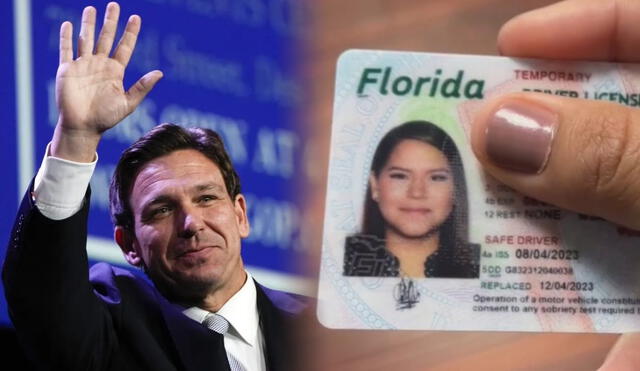 Ron DeSantis, gobernador de Florida, impulsó la Ley de Licencia Universal durante 2024. Foto: composición LR/AP/Univisión