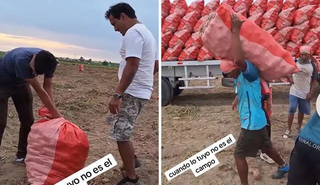 "Es igualito a mí, tengo las ganas, pero no la fuerza", reaccionaron usuarios en redes. Foto: composición LR/ TikTok