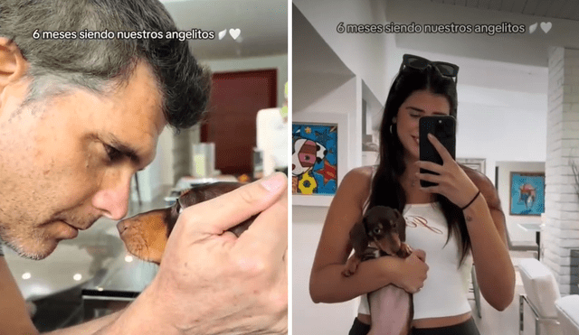 En un emotivo video, Andrea Bosio, esposa de Christian Meier, anunció la triste partida de sus dos perritos. Foto: Composición LR/TikTok