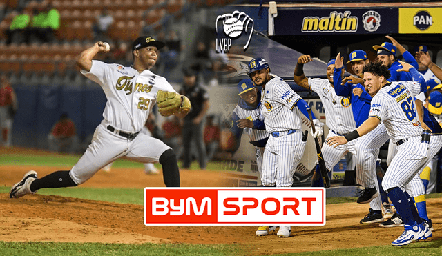 Magallanes jugará con Tigres en el Estadio José Pérez Colmenares de Maracay. Foto: composición LR/Tigres/Magallanes