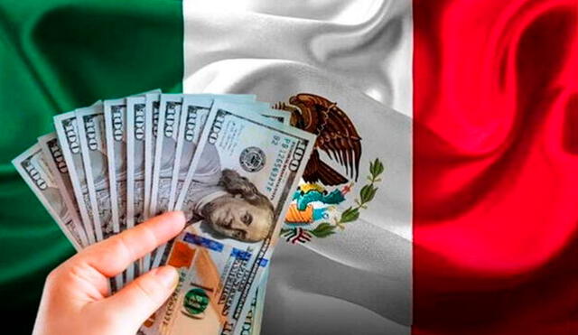 Conoce el precio del dólar en México hoy, 9 de enero de 2025. Foto: Composición LR