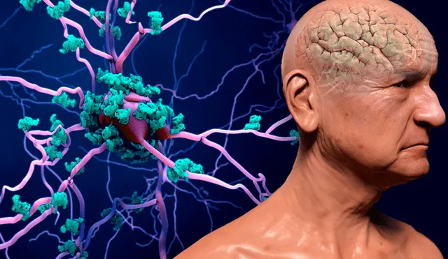 Descubrimiento de científicos estadounidenses revela impacto desigual del envejecimiento en células cerebrales. Foto: Gaceta UNAM