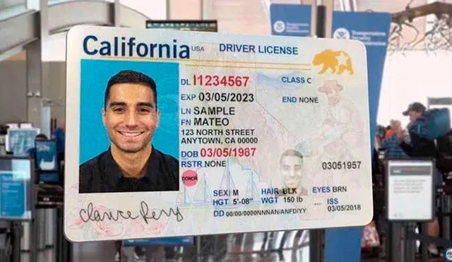 La Real ID es una identificación oficial reconocida a nivel federal que otorga acceso a una serie de beneficios. Foto: Univisión