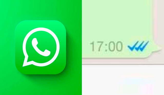 Es falso que llegará un tercer check azul a WhatsApp. Foto: FMDOS