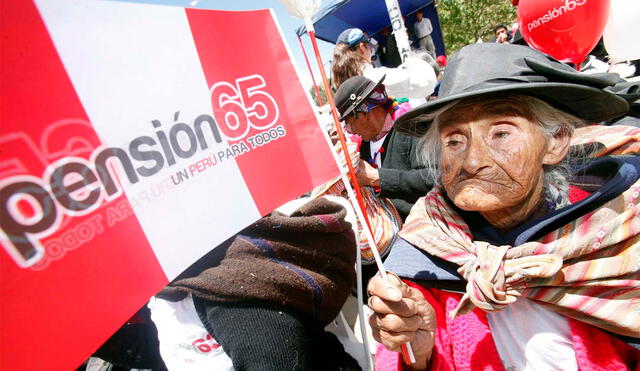 Programa Pensión 65 ayuda a los adultos mayores en situación de pobreza. Foto: Andina.