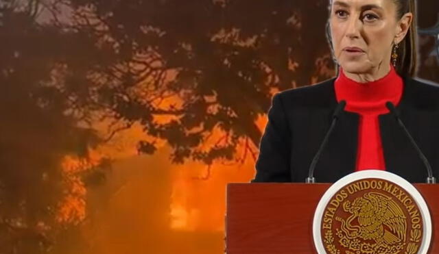 Sheinbaum explicó la importancia de apoyar a sus compatriotas afectados por el incendio en Los Ángeles. Foto: CDN