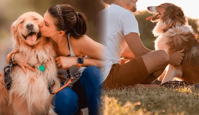 Estudio revela que los perros pueden identificar a sus dueños solo con escuchar su voz. Foto: composición LR