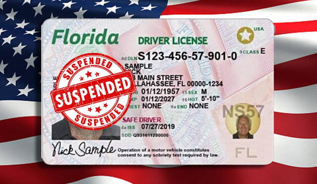 El Departamento de Seguridad de Carreteras y Vehículos Motorizados (FLHSMV) tiene autoridad para suspender la licencia de conducir en Florida. Foto: Composición LR