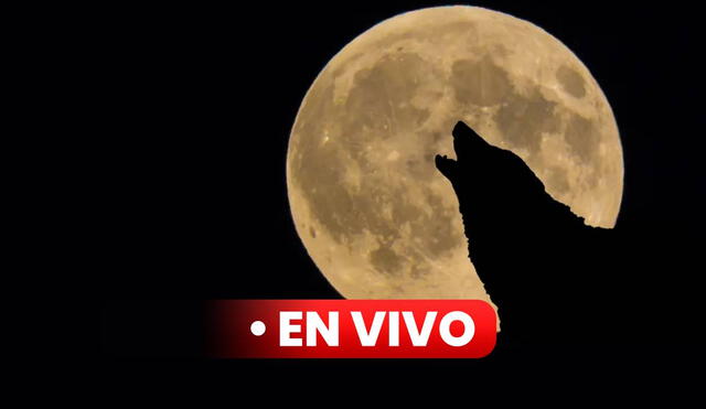 La Luna del Lobo genera mucha expectativa en redes sociales. Foto: AFP