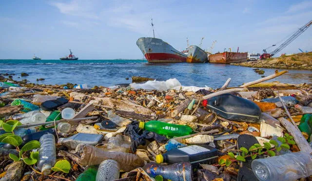 Muchos de estos desechos terminan en el mar y ríos generando daño ambiental.