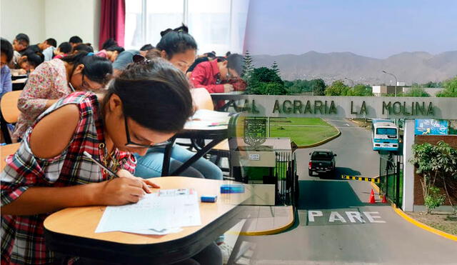 Los postulantes podrán optar por 12 carreras de la Universidad Nacional Agraria La Molina.  Foto: UNALM