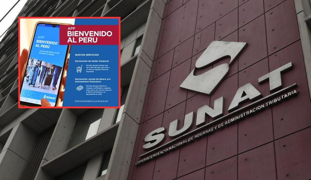 Sunat tiene una aplicación especial que permite el registro de los productos comprados fuera de Perú. Foto: Andina/LR