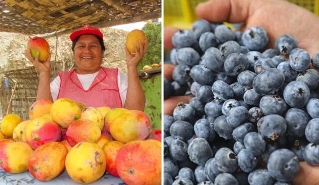 En noviembre, el mango creció 433%, mientras que el arándano duplicó su producción. Foto: composición LR/Andina