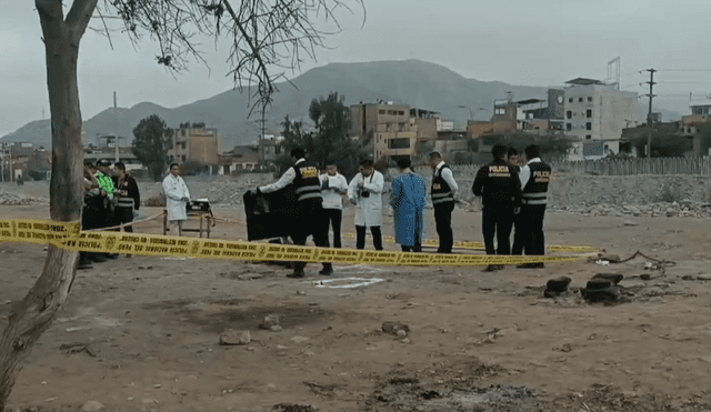 Peritos de la PNP llegaron a la zona para dar con las causas de este crimen. Foto: Difusión