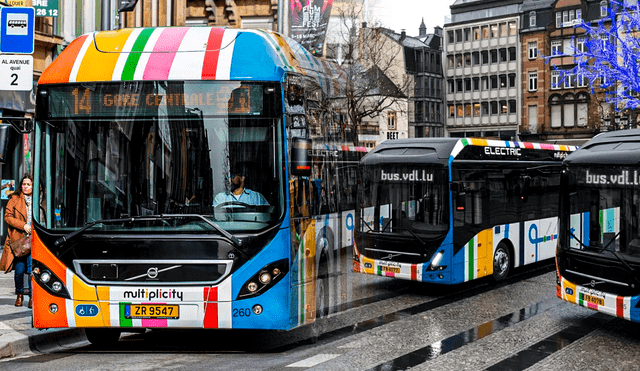 Esta medida abarca todos los autobuses, tranvías y trenes en el territorio nacional. Foto: Composición LR/Electrive/Clarín.