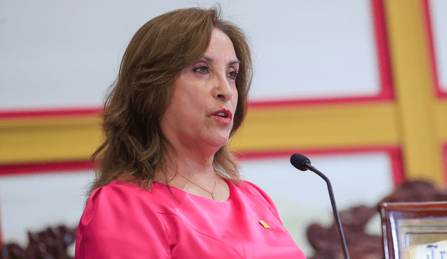 Dina Boluarte es cuestionada por llevar a testigos claves como parte de su delegación. Foto: difusión