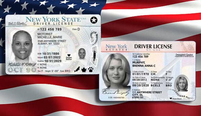 Descubre las diferencias entre la licencia de conducir y la Real ID en Estados Unidos. Foto: Composición LR