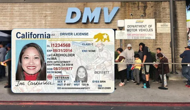 Renovar tu licencia de conducir en California es esencial para manejar legalmente. Puedes hacerlo en persona en el DMV. Foto: Composición LR