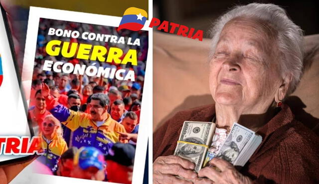 La mayoría de bonos de la patria se pagan a través de la plataforma del mismo nombre. Foto: composiciónLR/Patria/Freepik