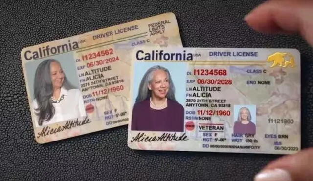 La Real ID será un documento obligatorio para viajar desde mayo de 2025. Foto: CNET