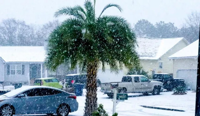 Las zonas del norte de Florida tienen más probabilidades de experimentar nevadas ocasionales en comparación con el sur. Foto: Miami Hispano