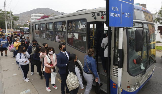 Corredor Azul prepara una nueva ruta alimentadora.