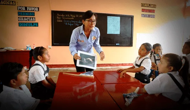 Miles de profesores podrán conocer si lograron una adjudicación de plaza para el Nombramiento Docente. Foto: Andina