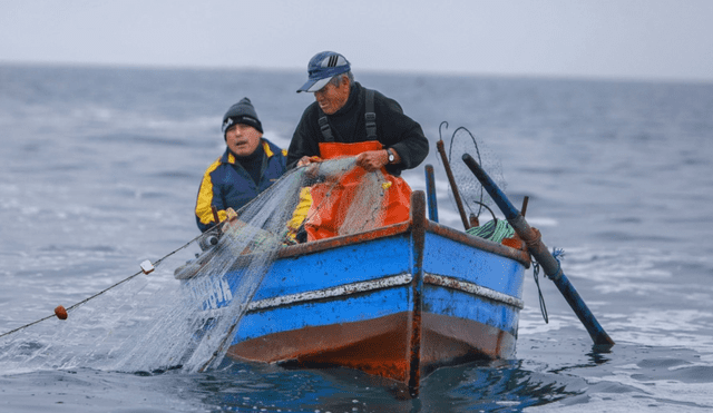 Las modificaciones al Reglamento de la Ley General de Pesca permitirían la pesca industrial sin sanciones, lo que inquieta a exfuncionarios por su posible impacto en la biodiversidad. Foto: difusión