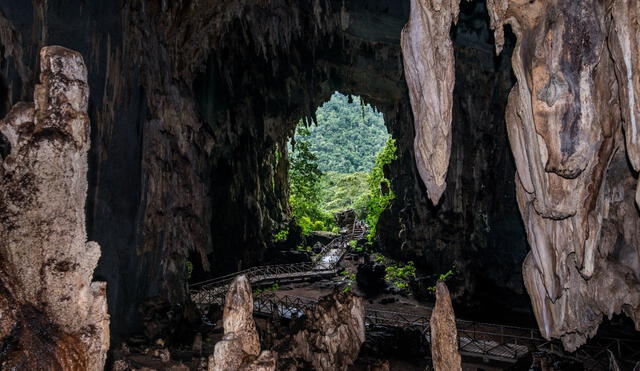 Parque Nacional de Tingo María, Huánuco.