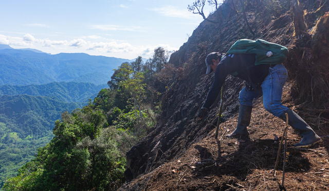 Tierra seca. Zonas altas de Piura recuperarán su cobertura vegetal y así se evitarán huaicos.