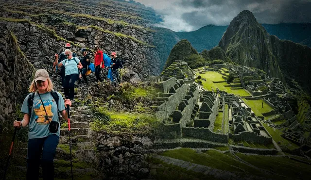 El Camino Inca recorre 43 kilómetros hasta llegar a Machu Picchu. Foto: Andina