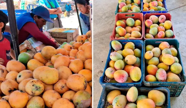 Productores de mango advierten con lanzar su mercadería a la Panamericana Norte. Foto: composición LR/Emmanuel Moreno