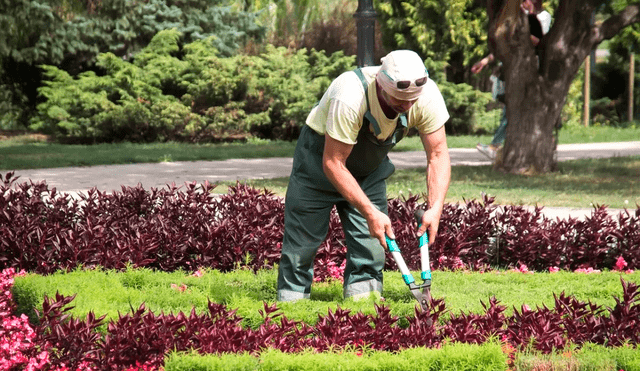 Los salarios son altamente competitivos, alcanzando hasta 121.879 dólares anuales, además de beneficios como cobertura médica integral y planes de jubilación. Foto: Portalparados