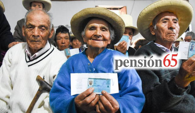 Pensión 65 es un programa de ayuda social económica a los adultos mayores en situación de pobreza. Foto: Composición LR/Andina.