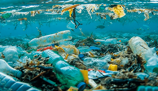 La contaminación en el océano afecta directamente a la fauna marina, además de traer consecuencias a largo plazo en la humanidad. Foto: Cantabria Económica.