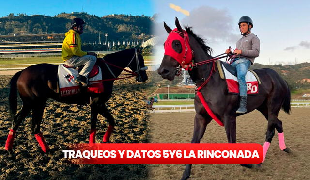 El Hipódromo La Rinconada tendrá 10 carreras en su segunda reunión del año. Foto: composición LR / INH