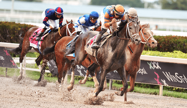 La Pegasus World Cup cierra el telón en Gulfstream Park. Foto: AFP