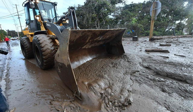 Grupos locales y voluntarios de Estados Unidos han trabajado de manera conjunta, implementando diversas iniciativas. Foto: El País