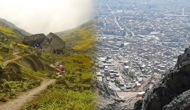 Proyecto de ley propone declarar las Lomas de Mangomarca como patrimonio natural y cultural. Foto: composición LR/Andina