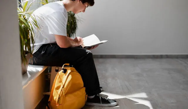 Conoce la mejor modalidad para estudiar. Foto: difusión