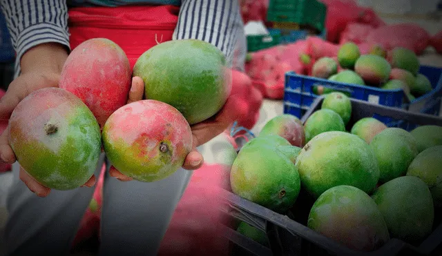 El exceso de producción del mango ha generado pérdidas en la inversión de los agricultores/Composición LR/Foto: Emmanuel Moreno