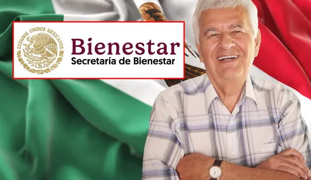 La Secretaría de Bienestar confirmó las condiciones que deben de cumplir los hombres para acceder a esta importante pensión. Foto: composición LR/Freepik/Bienestar