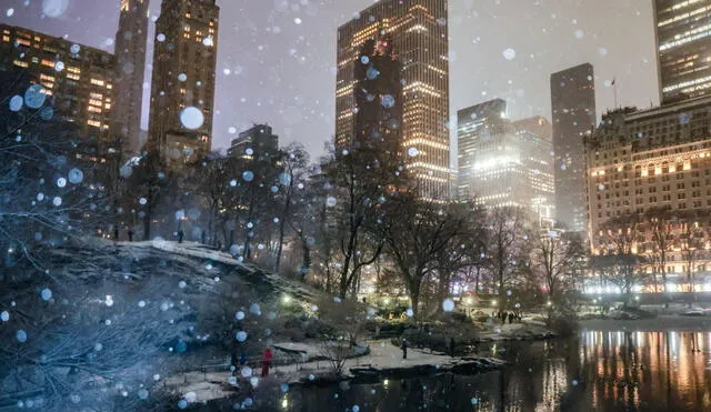 Según el Servicio Nacional de Meteorología, los fríos árticos afectarán los Estados Unidos hasta el 31 de enero. Foto: AFP.