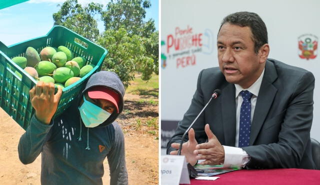 El ministro Manero pidió a los agricultores que no planten más mangos en los próximos tres años. Foto: composición LR/Andina