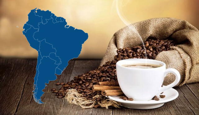 Según Statista, el Perú se consolidó en 2023 como el décimo exportador de café en el mundo. Foto: Andina/Vecteezy/LR